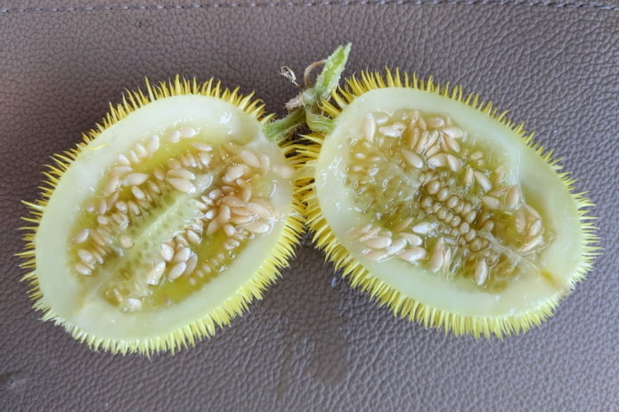 Cut Hedgehog Cucumber
