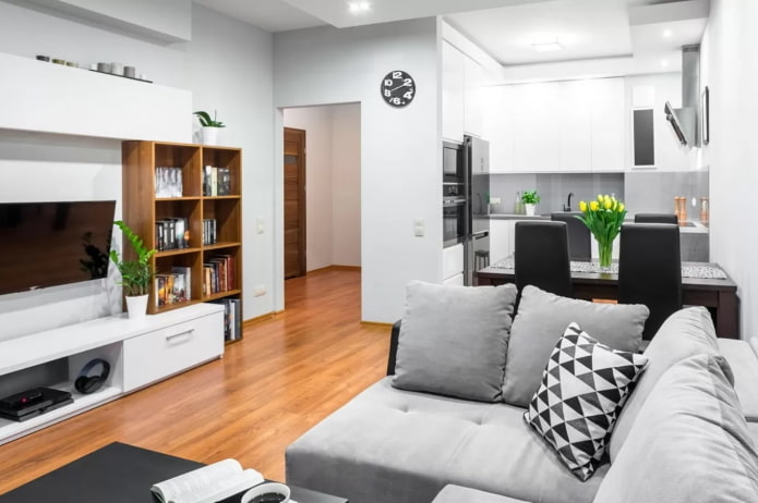 kitchen-living room in a two-room apartment