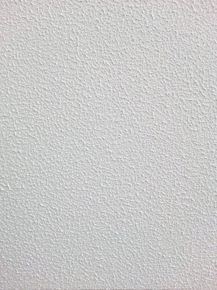 fur coat paint