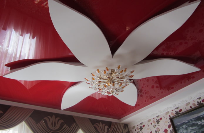 figured ceiling structure in the shape of a flower
