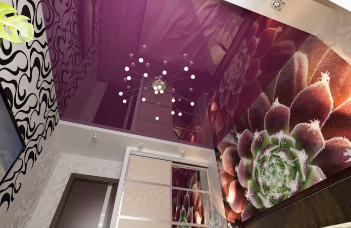 purple ceiling