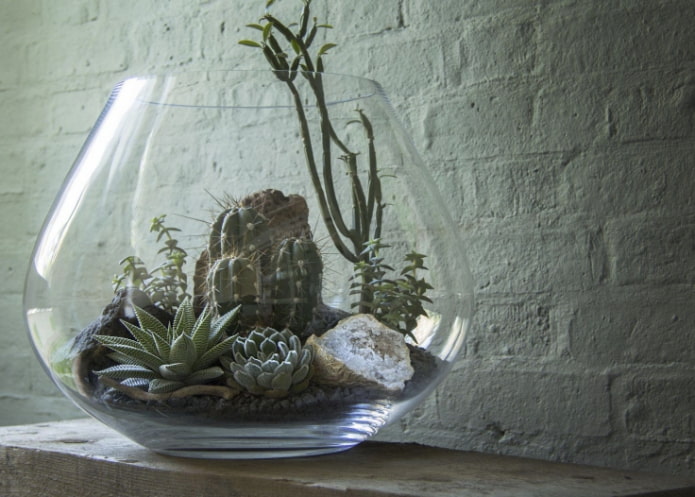 mountain arrangement of succulents