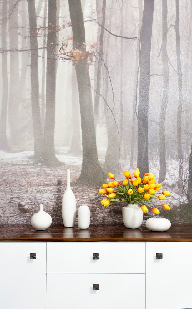 Wallpaper with forest image