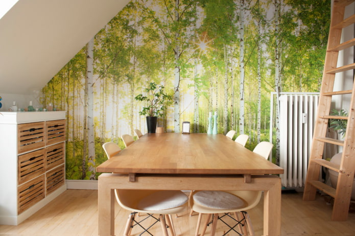 photo wallpaper with forest
