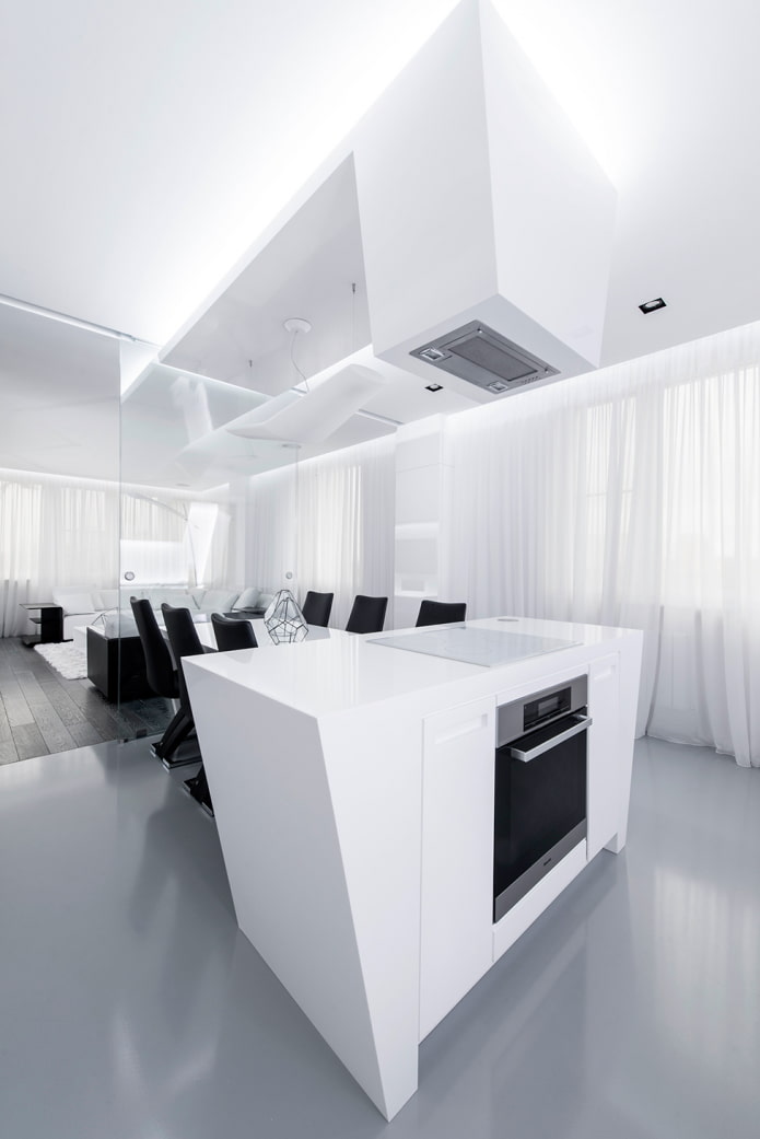 black and white modern kitchen
