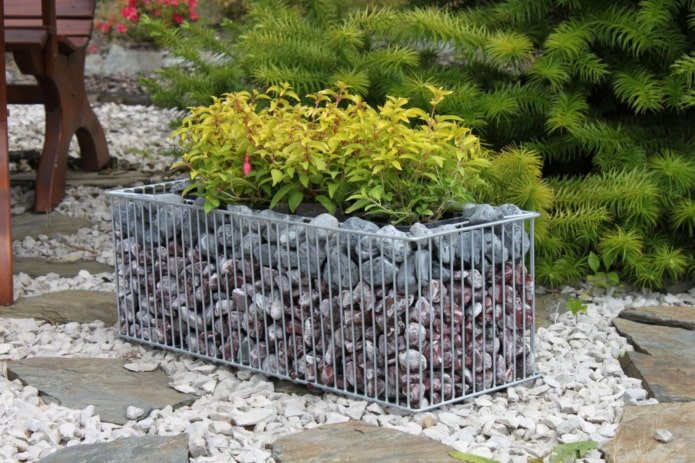 gabion flowerbed