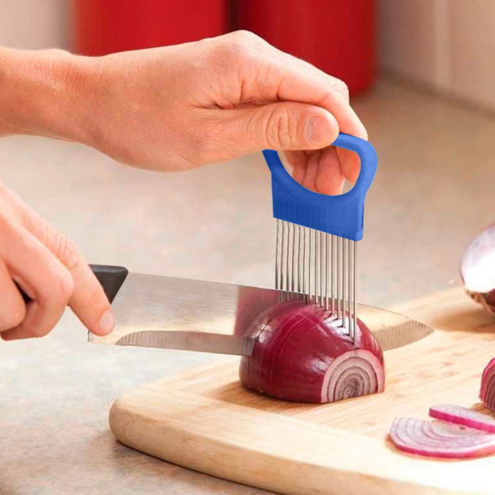 Onion holder