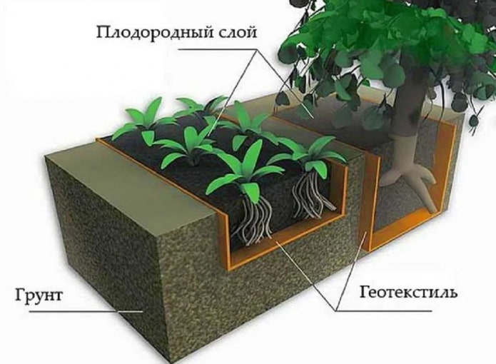 geotextile for roots