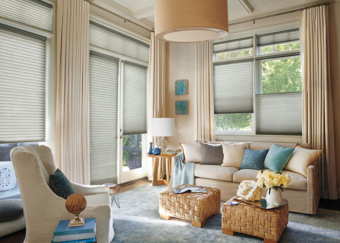 pleated blinds in the living room interior