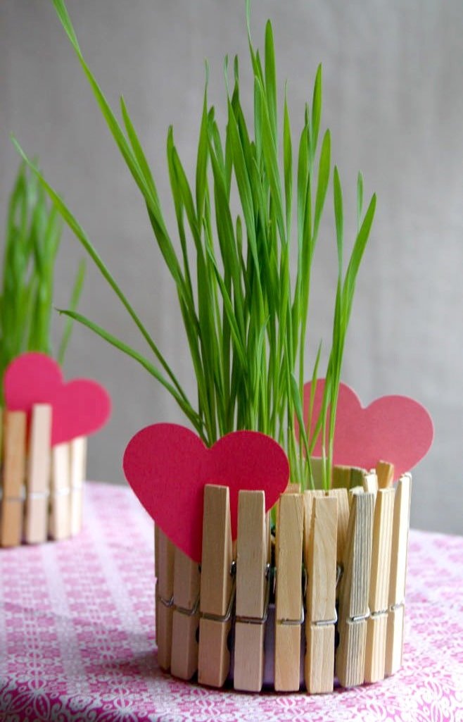A flowerpot made of a jar and clothespins