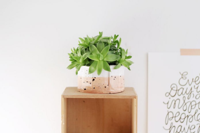 Clay Pot