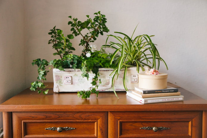 Flower arrangement