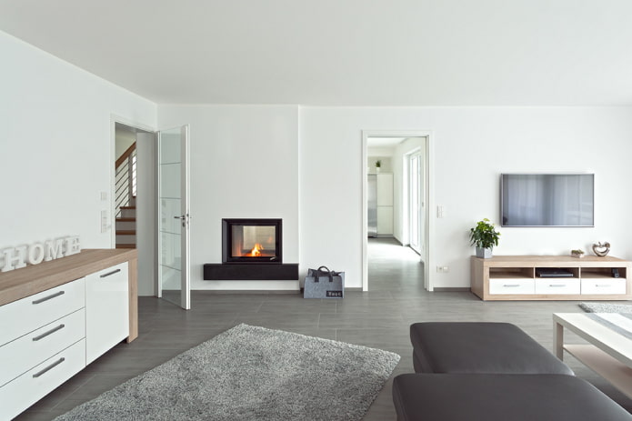 fireplace and TV on one wall in the living room