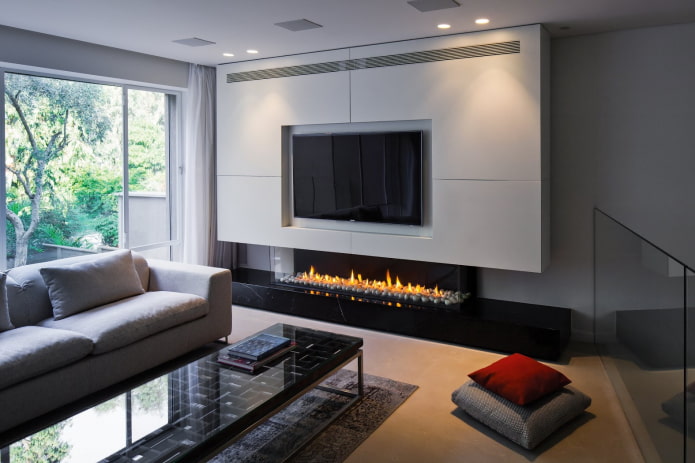 biofeaceroom and TV in the living room interior