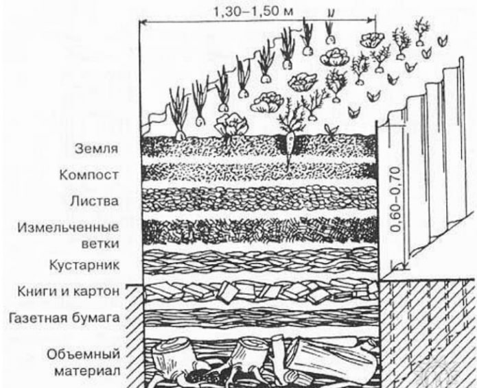 layers of a warm bed