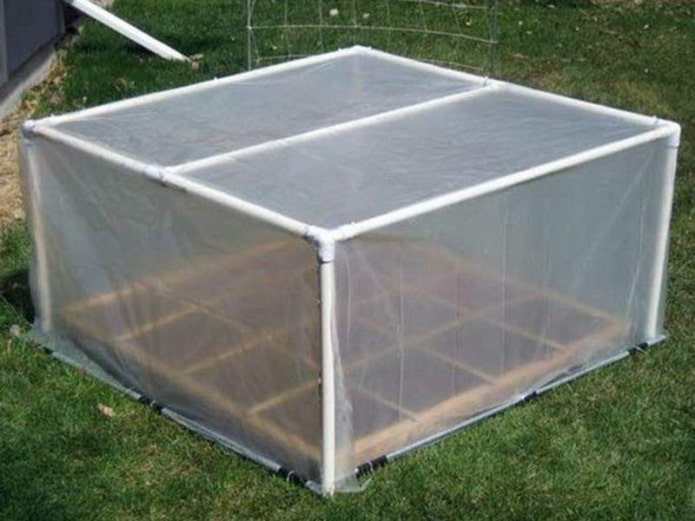 greenhouse made of pipes