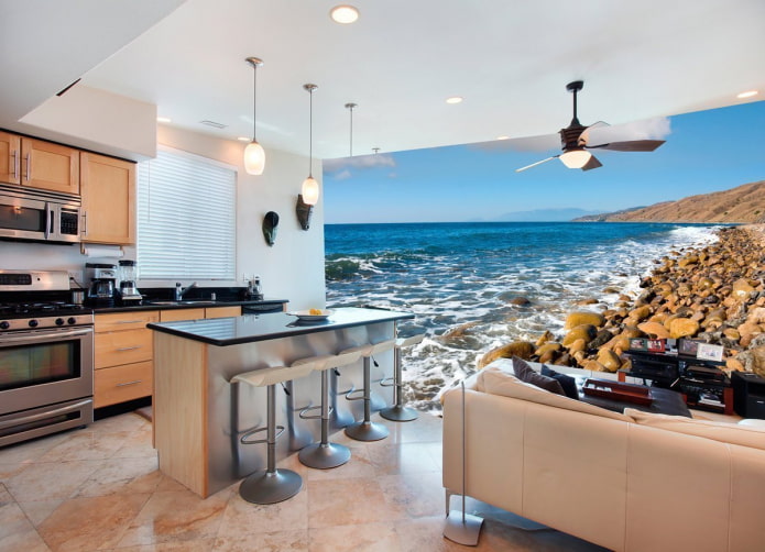kitchen-living room