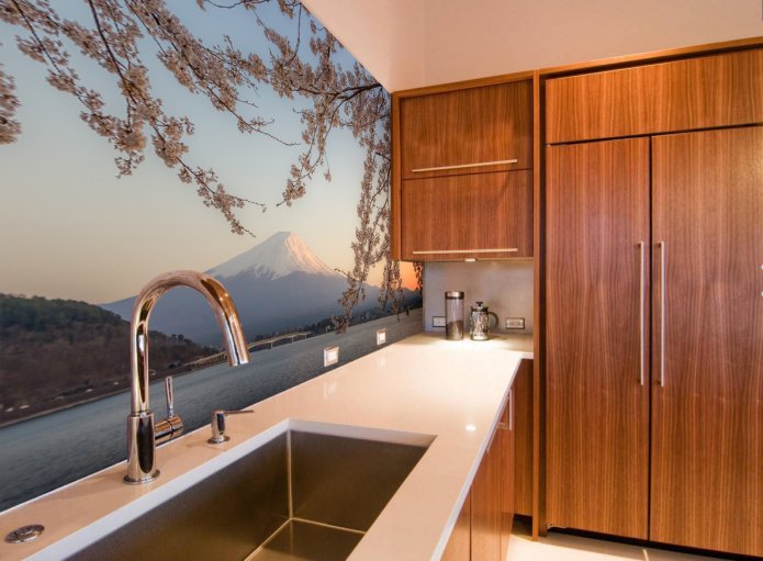 photo wallpaper for the kitchen apron
