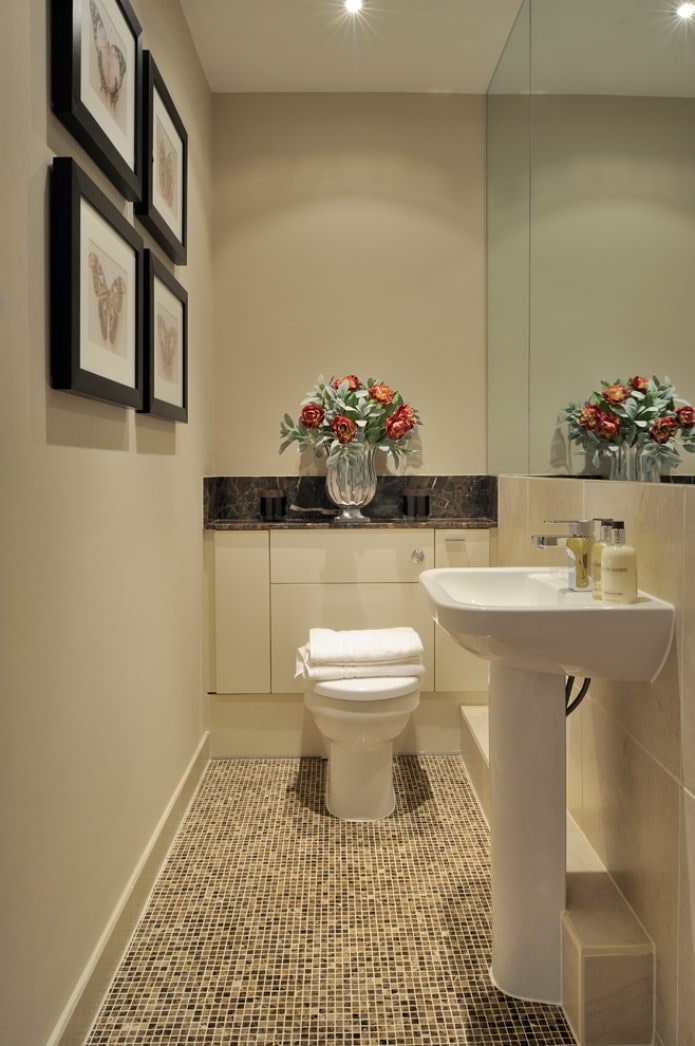 cabinet behind the toilet in the toilet interior