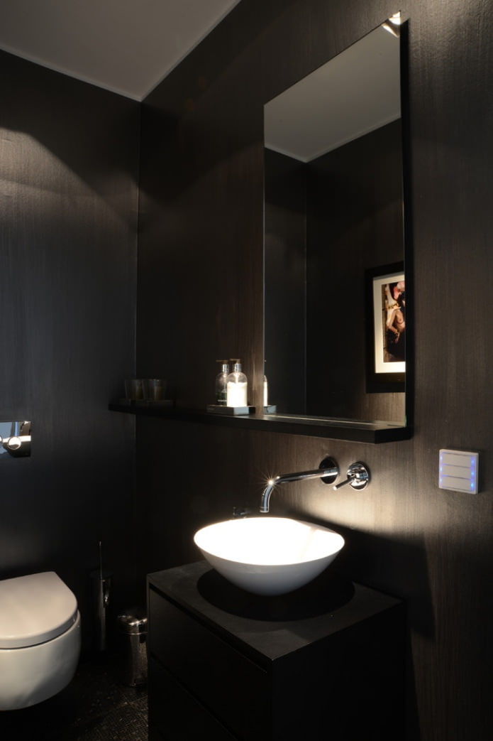 toilet in black tones