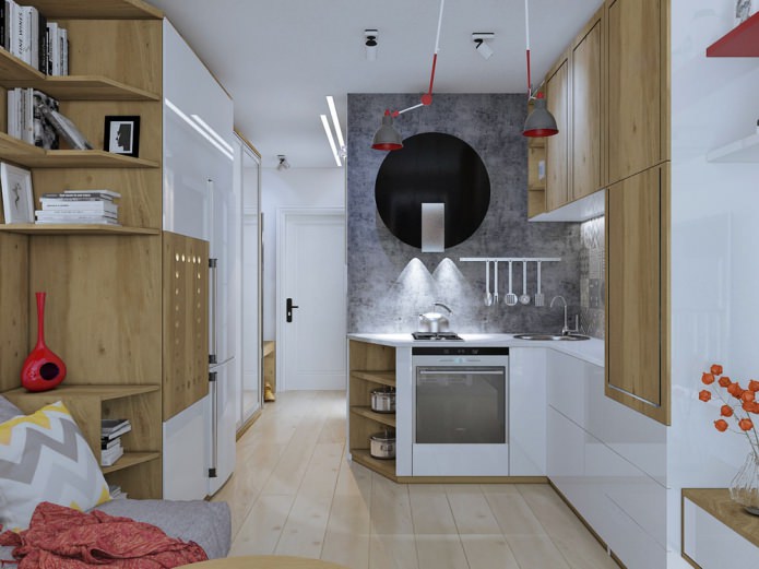 compact studio 18 sq. m.