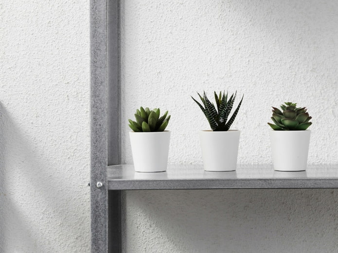 plastic succulents