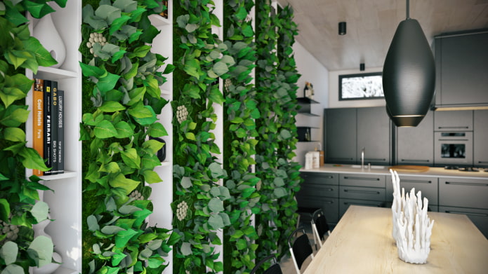 green wall in the kitchen