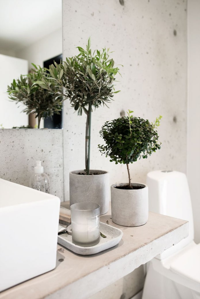 plastic ficuses in the bathroom