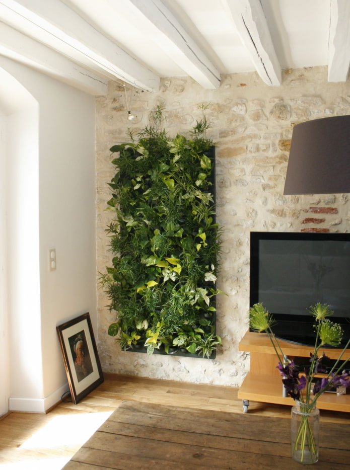 phytowall near the TV