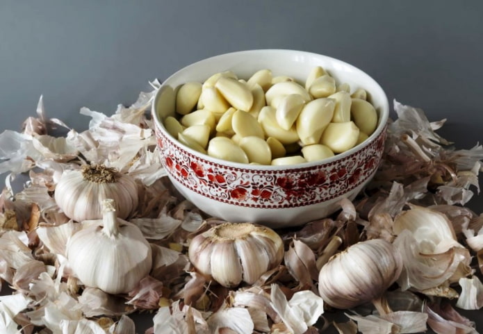 how to use garlic against ants