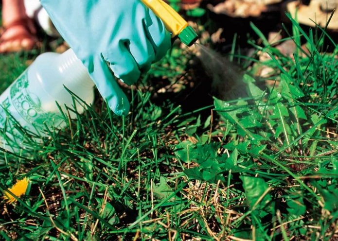 Herbicide soap