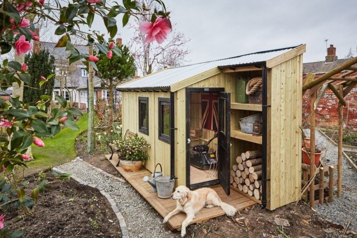7 ideas on how to arrange a shed at the dacha (photo inside)