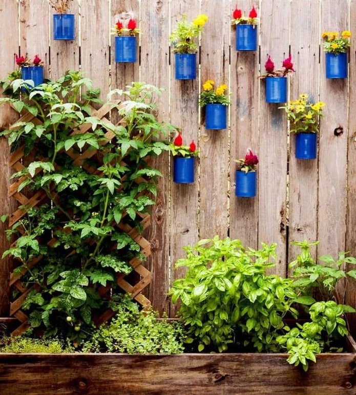Flowers in tin cans