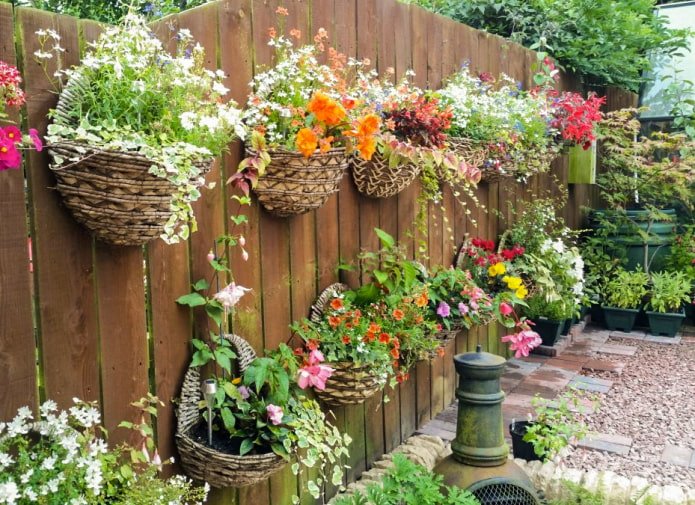 Flower pots on a fence