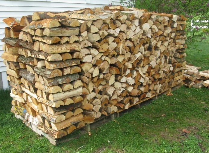 Open woodpile