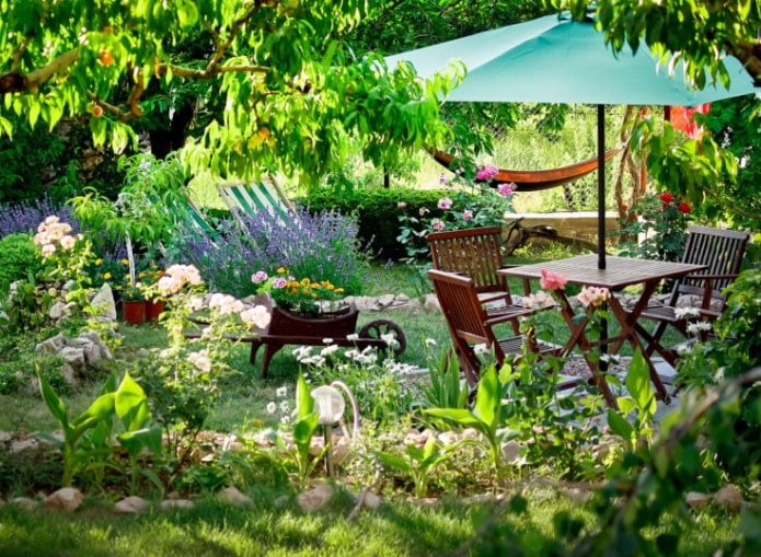 Umbrella for creating shade