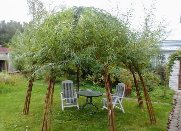 Shadow from a willow gazebo