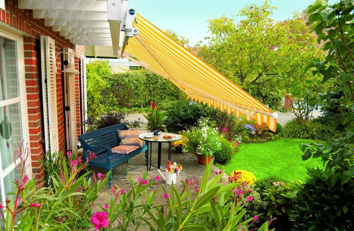 8 ideas on how to create shade on the site