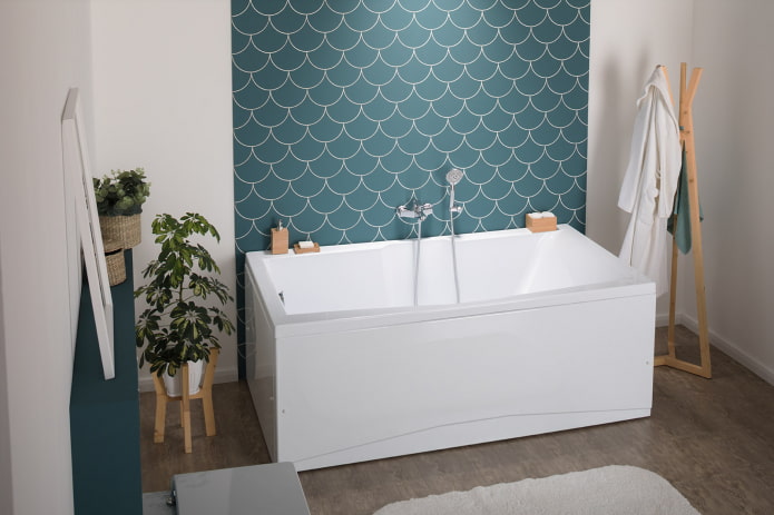 acrylic bathtub with a screen