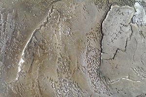 Stone-like plaster