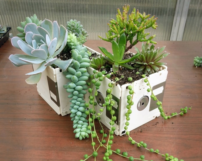 Flowerpot Made of White Floppy Disks