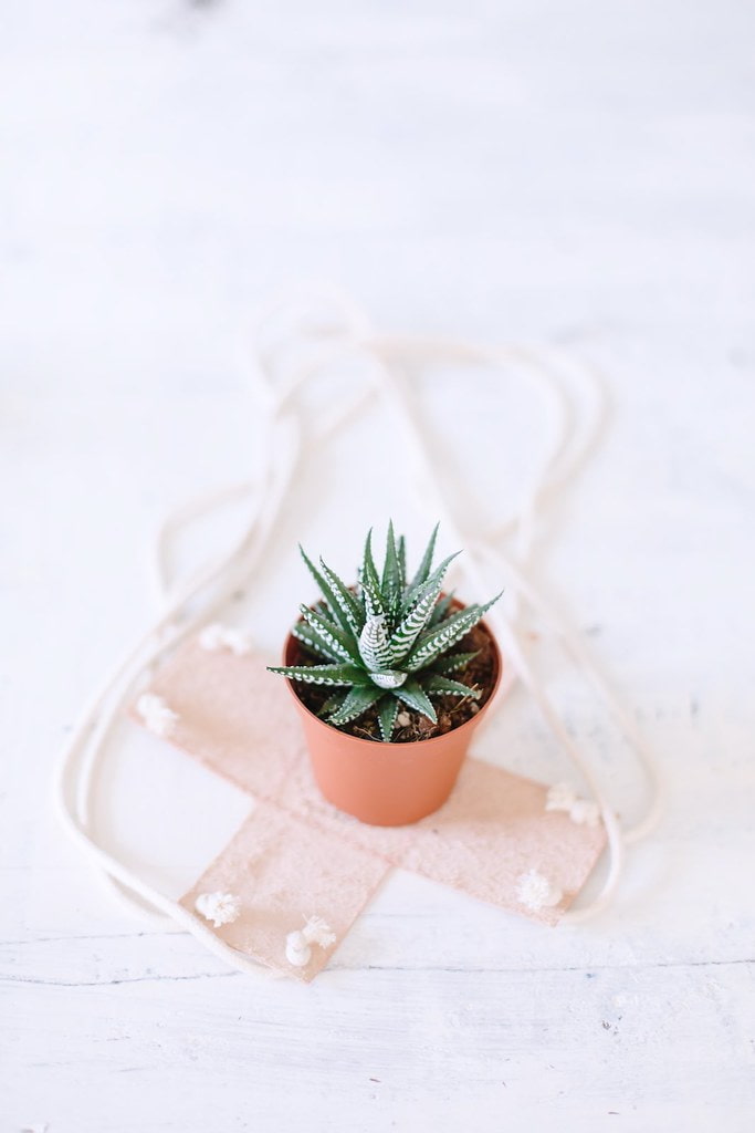 Leather flowerpot