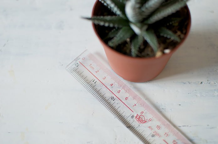 Measuring the width and height