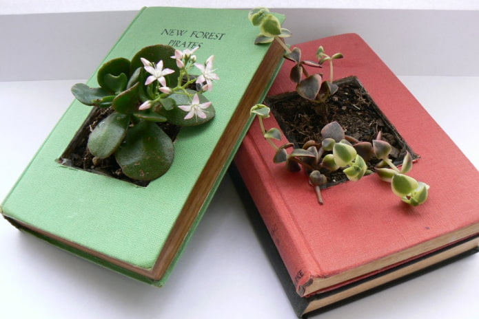 Book Pot