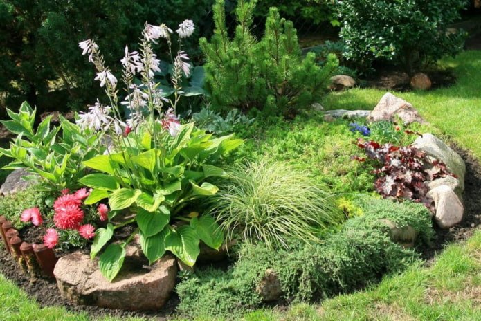 rock garden