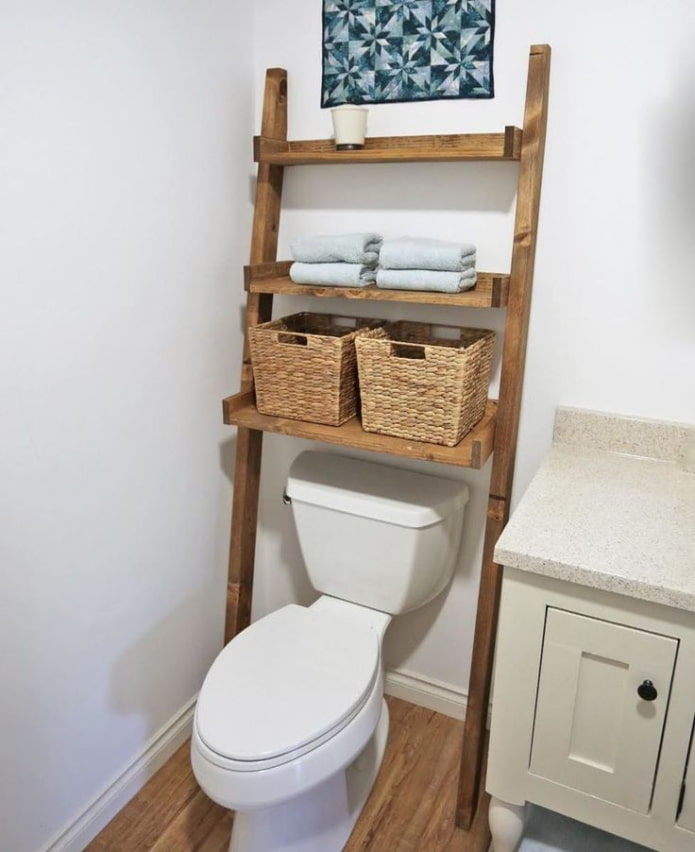 Shelf-ladder