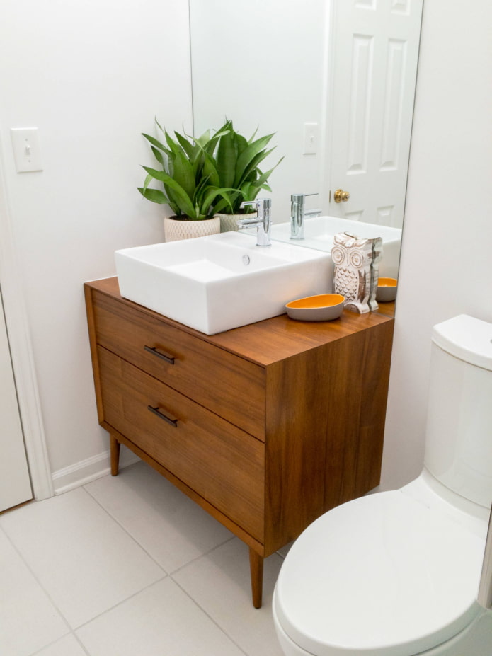 Cabinet under the sink