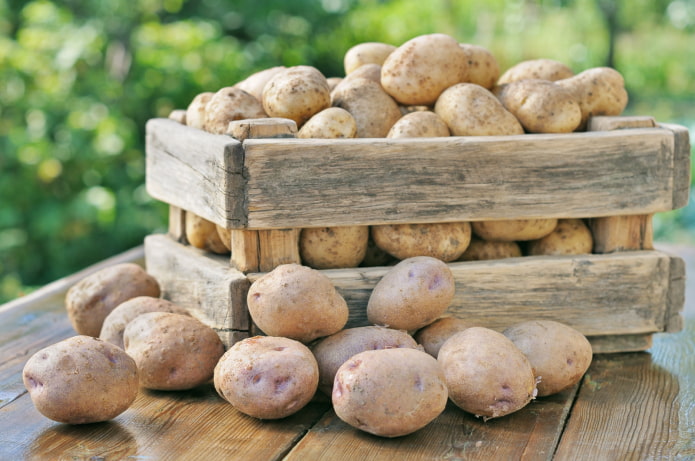 Potatoes