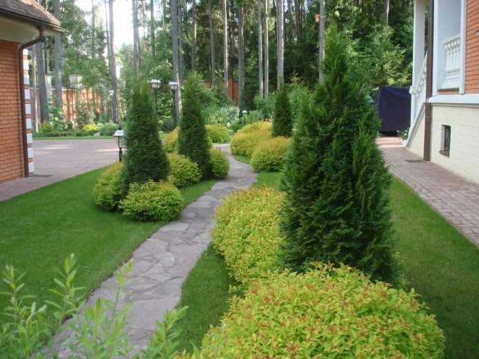 garden path framed by groups of conifers