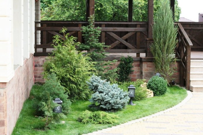 coniferous front garden with lighting